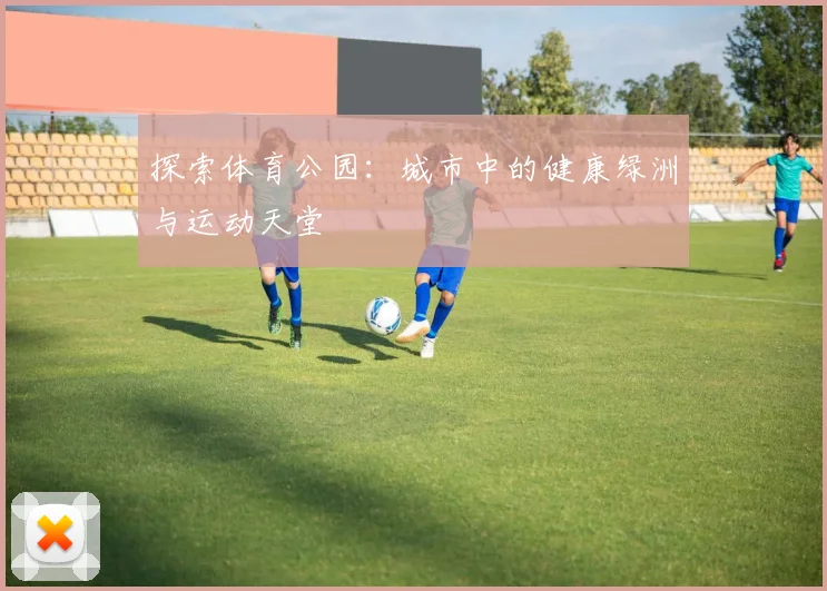 探索体育公园：城市中的健康绿洲与运动天堂